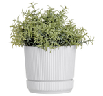 Кашпо СТРИП круглое D=110мм 0,6 л с поддоном М3245