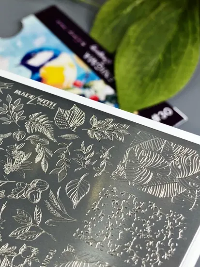 Пластина для стемпинга Enigmanic Stamping №030