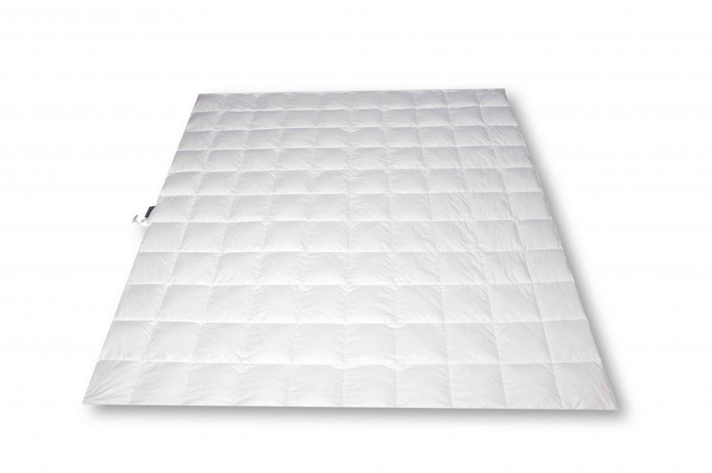 Одеяло пуховое легкое 200х200 Dorbena Perfetto