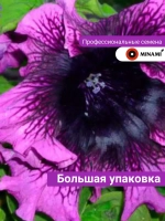 Петуния Превосходнейшая F1 тёмно-пурпурная