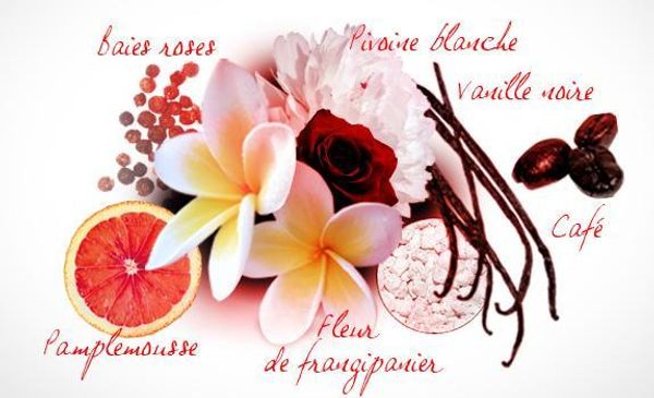 Cacharel Amor Amor Forbidden Kiss