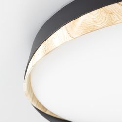 Citilux BONNY CL754351G LED RGB Светильник с пультом Черный+Клён