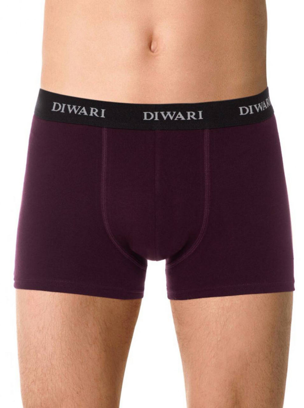 DIWARI BASIC MEN MSH (2147) (трусы мужские боксеры)