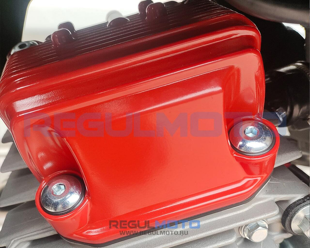 Мотоцикл Regulmoto ZR PR 300 4 valves 6 Gear