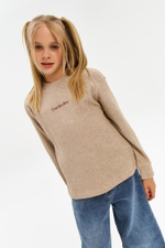 Джемпер дл/р д/д DELORAS 22704