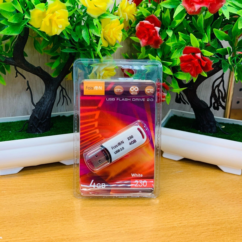 USB Флешка 4GB Faison 230, USB 2.0, белая