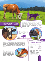 Удивительный мир животных. Энциклопедия для детей