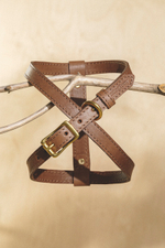 Цельнокожаная шлейка Коричневый