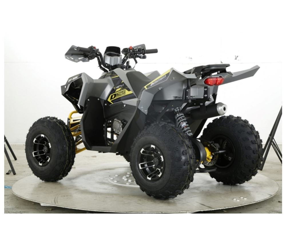 Квадроцикл бензиновый MOTAX GRIZLIK RAPTOR D125