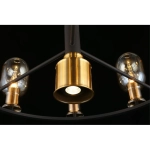 Подвесная люстра Aployt STEFANI APL.901.03.10