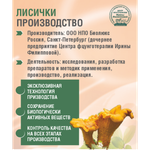 ЛИСИЧКИ, 60 капсул