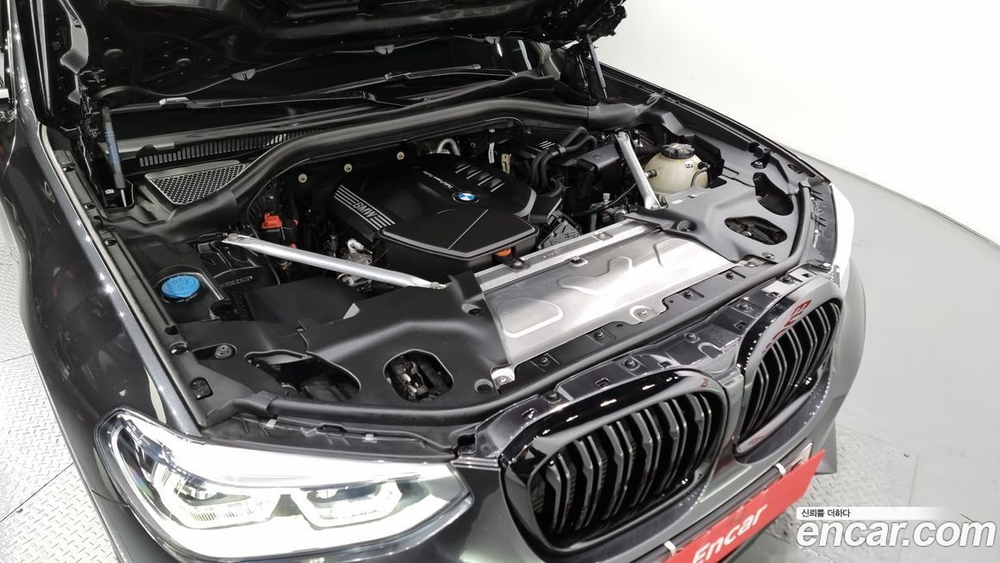 BMW X4 (G02) xDrive20d xLine (05.2020)