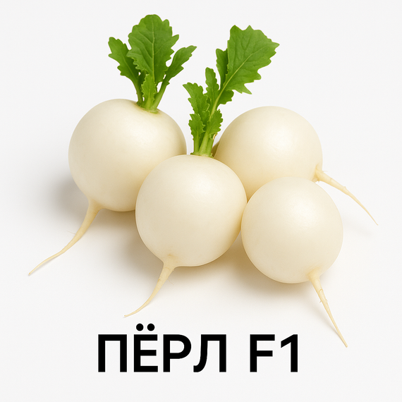 ПЁРЛ_F1_семена_редиса_Enza Zaden_купить