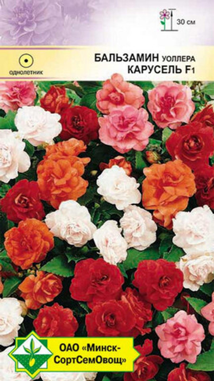 Бальзамин "Уоллера Карусель F1" 5шт., Чехия.