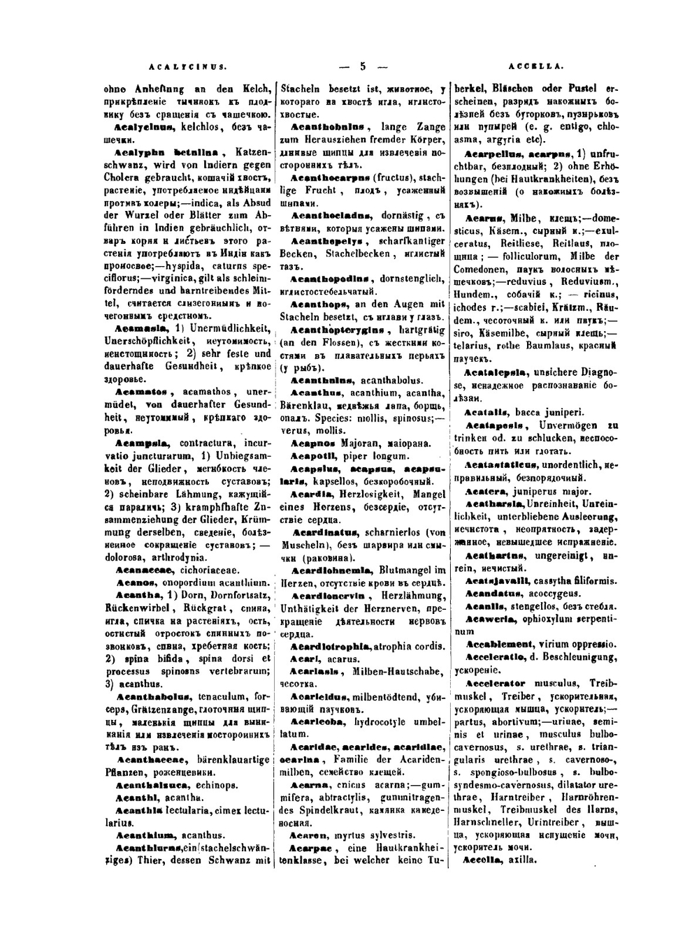 Терминологический медицинский словарь на латинском, немецком, французском и русском языках. Часть 1 | Л. Гринберг