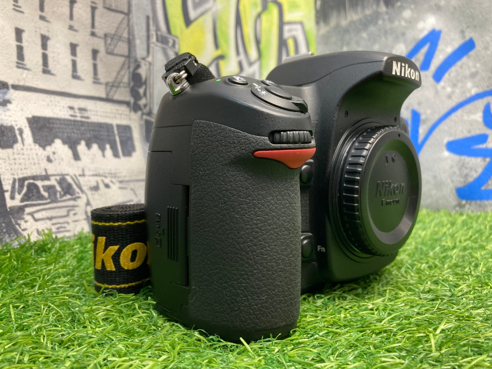 Nikon D300s 22.000 кадров