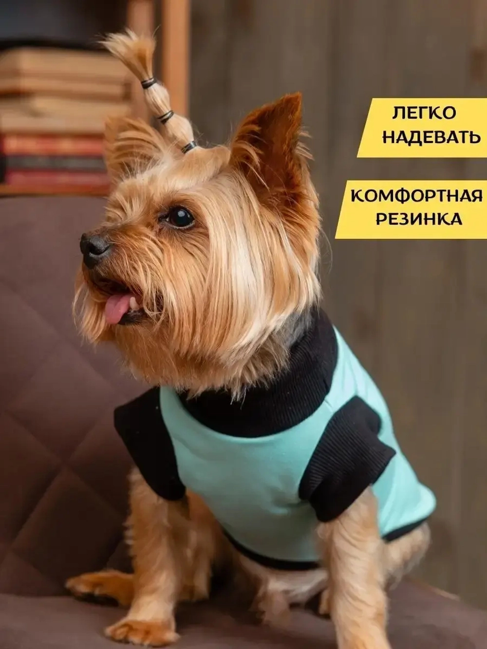 Футболка для собак мелких средних пород и кошек