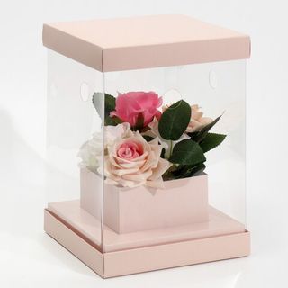 Коробка для цветов Аквариум Бежевая 16х23х16