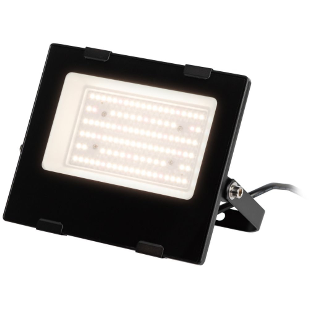 Фитопрожектор для растений светодиодный ЭРА FITO-50W-Ra90-LED для цветения и плодоношения полного спектра 50 Вт | Фито прожекторы