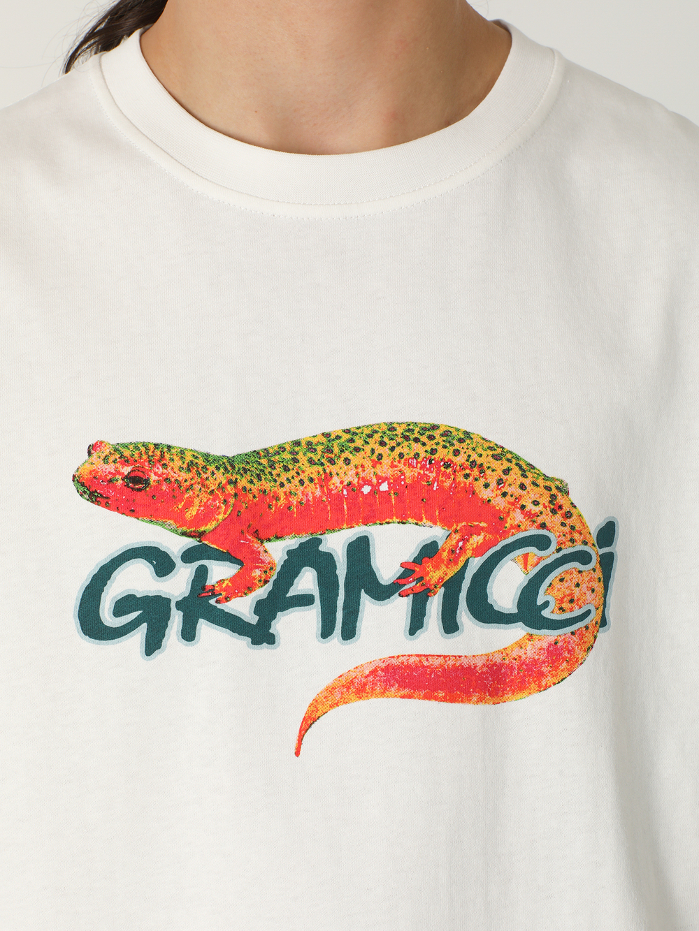 Мужская Футболка Salamander