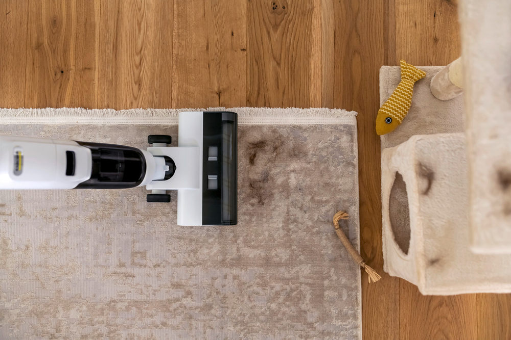 Вертикальный моющий пылесос FCV 2 Natural N