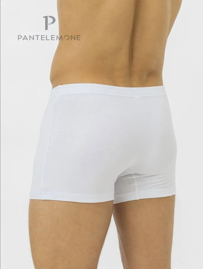 Трусы мужские боксеры Pantelemone PMH-071, белые