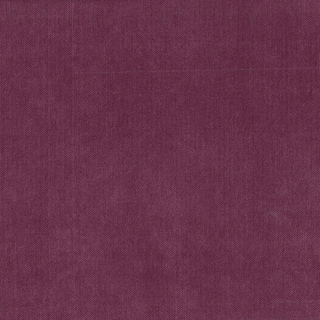 Микровелюр Fernando grape (Фернандо грейп)