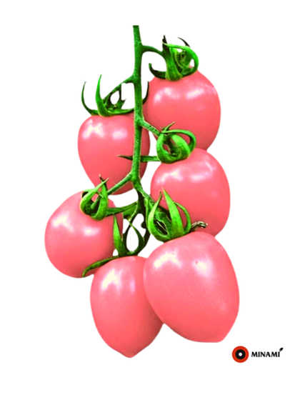 Томат розовый Салето F1 10шт.