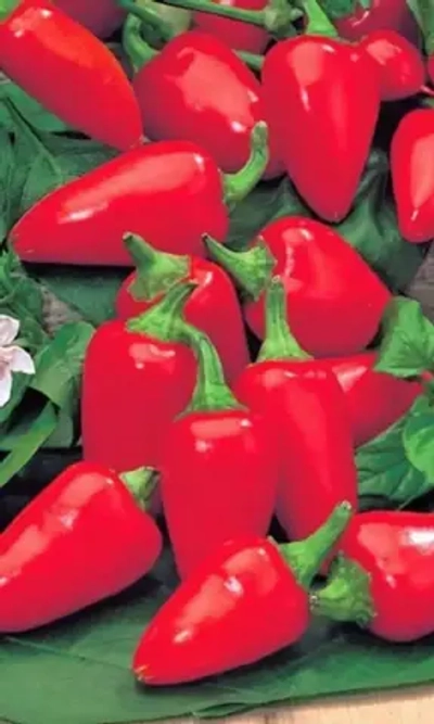 Семена Перец сладкий Малютка 20шт (УД) Е/П