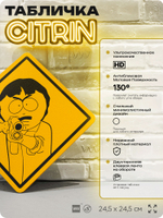 Табличка декоративная "Рэнди Марш" из сериала Южный парк, South Park на дверь и стену, прикольная штука в подарок фанату, декоративный знак, 24,5х24,5 см, серия CITRIN / ЦИТРИН, Айдентика Технолоджи