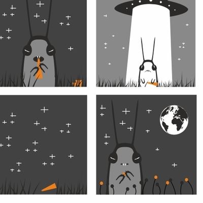 Космический зайка