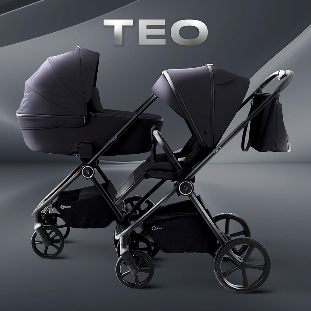 Детская коляска Rant Teo 3 в 1 Black