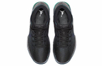 Кроссовки Jordan Air Jordan 31 All Star 2017 "Chameleon"