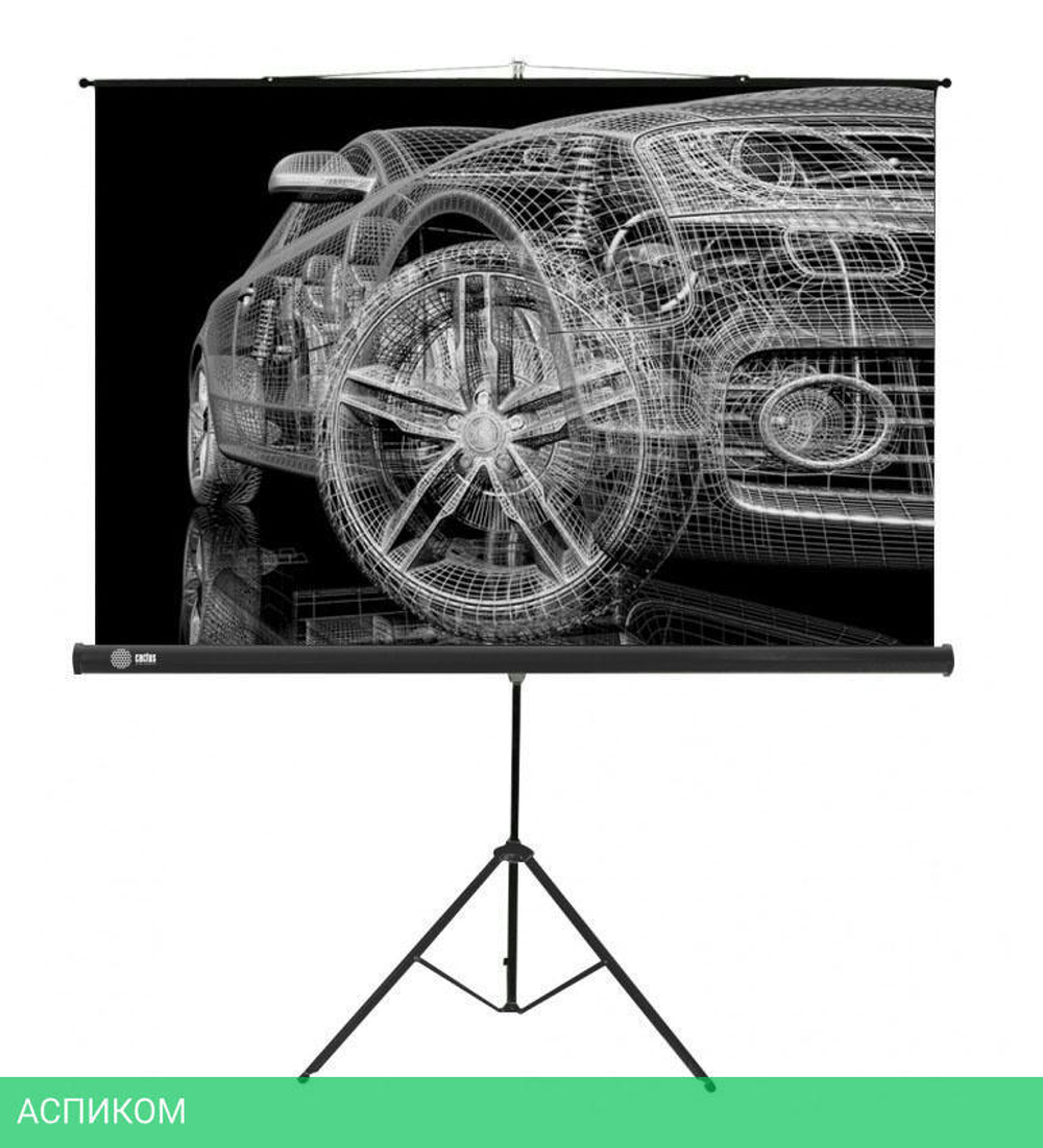 Проекционный экран Cactus CS-PST-124X221