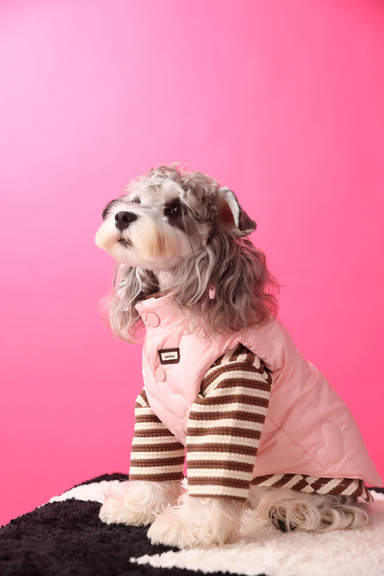 Жилетка для собак Облака