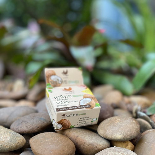 Зубная паста с кокосом, отбеливающая Coconut Herbal Toothpaste NokThai