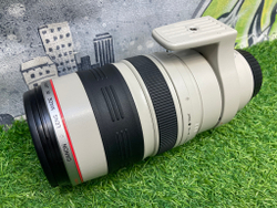 Canon EF 100-400mm 4.5-5.6L IS USM