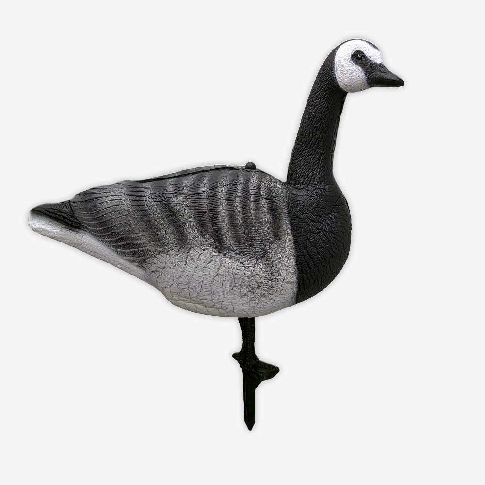 Белощекая казарка SuperXPE 12 шт.