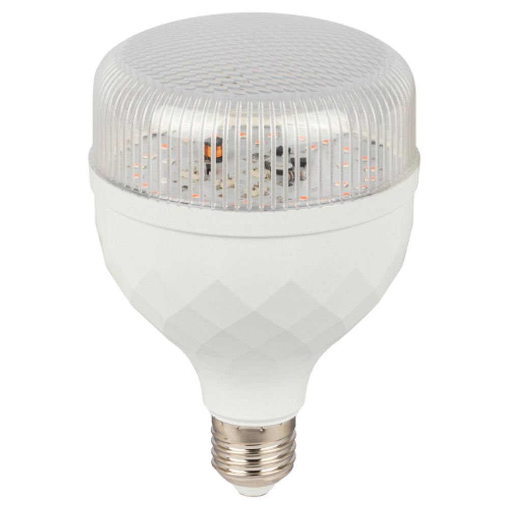 Фитолампа для растений светодиодная ЭРА GREEN LINE ФИТО-35W-PL-E27-GR красно-синего спектра 35 Вт Е27 | Фитолампы Е27