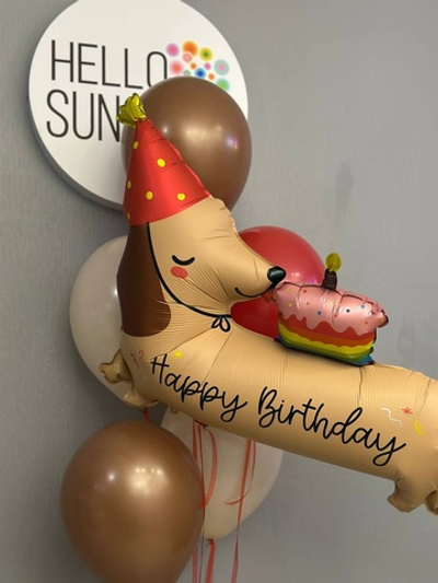 Набор шаров с таксой