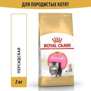 Корм для котят персидской породы, Royal Canin Persian Kitten