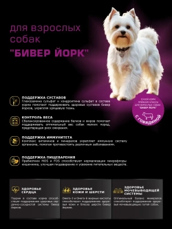 Корм сухой для собак породы Бивер Йорк, с говядиной 12 кг