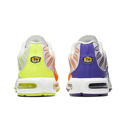 Мужские кроссовки Nike Air Max Plus 'Color Flip' CI5924-531