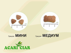Гранулы