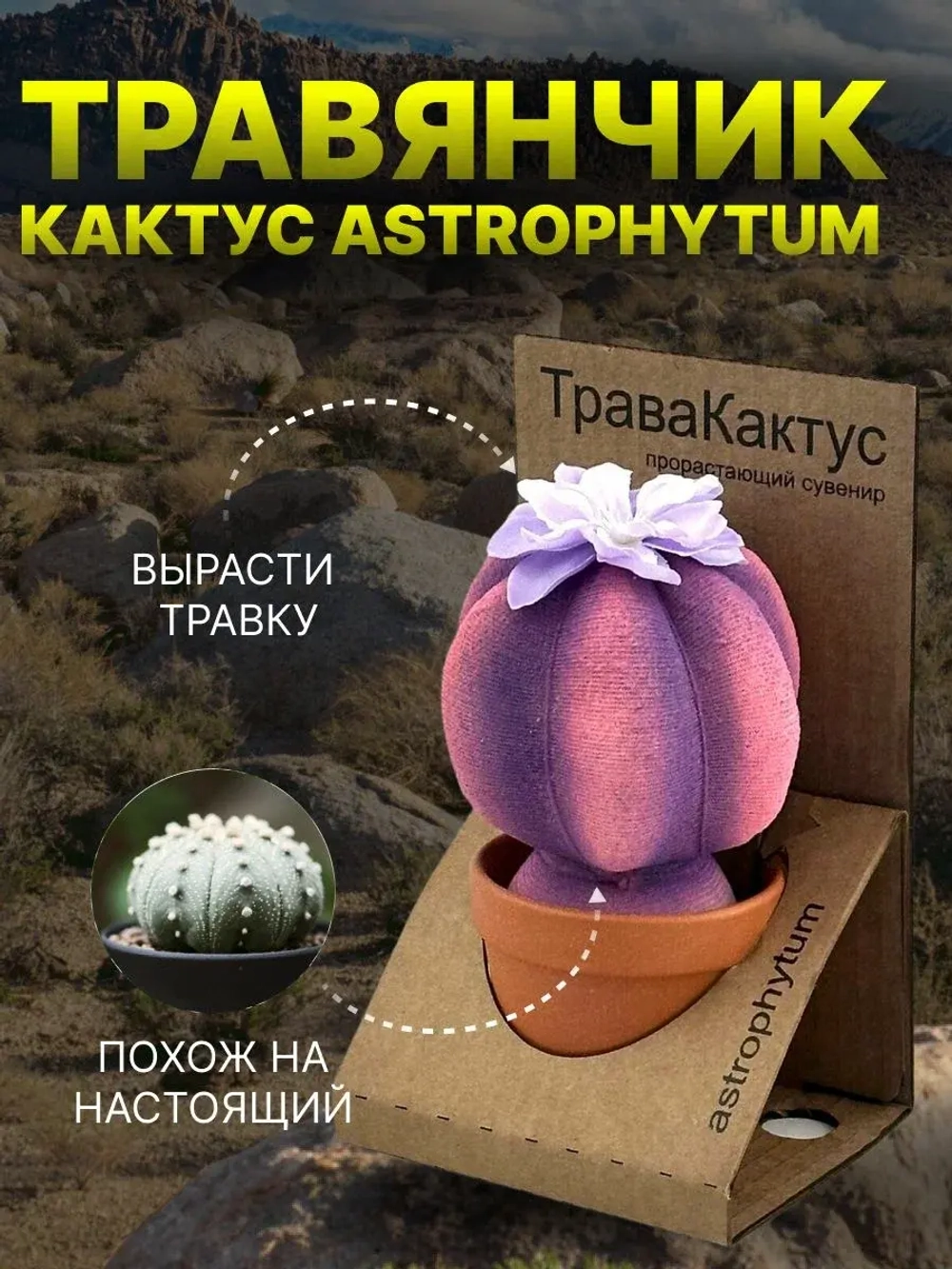ТРАВЯНЧИК Трава Кактус прорастающий сувенир в ассортименте