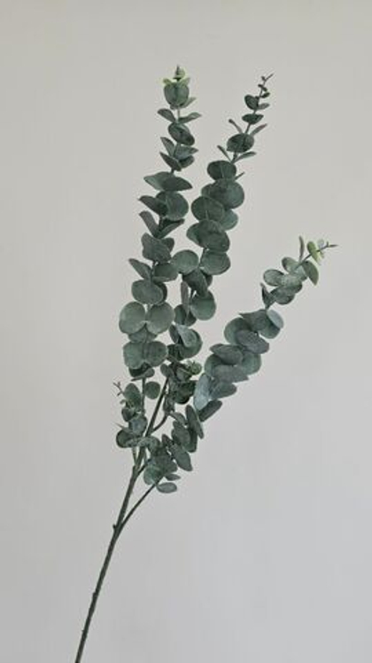 Эвкалипт с напылением / Арт 5170