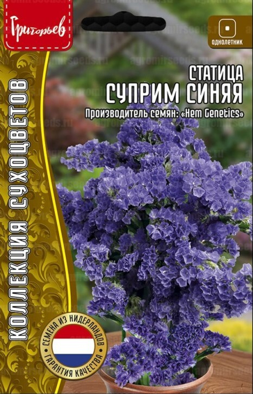 Статица суприм синяя