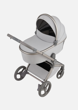 Anex Детская коляска Flo 2 в 1 Frossy