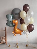 Воздушные шары №8402