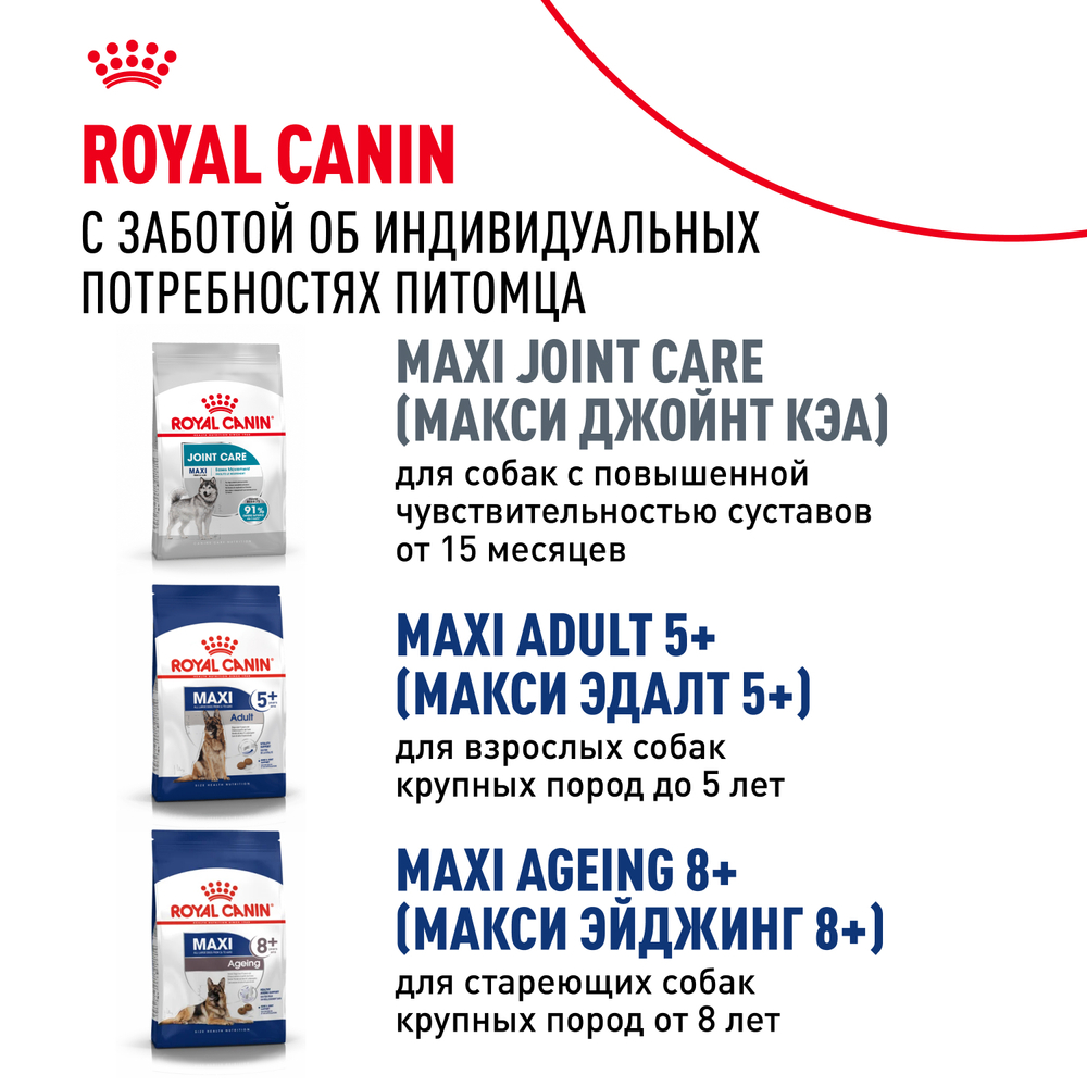 Royal Canin Maxi Adult Корм сухой для взрослых собак крупных размеров от 15 месяцев до 5 лет 15 кг